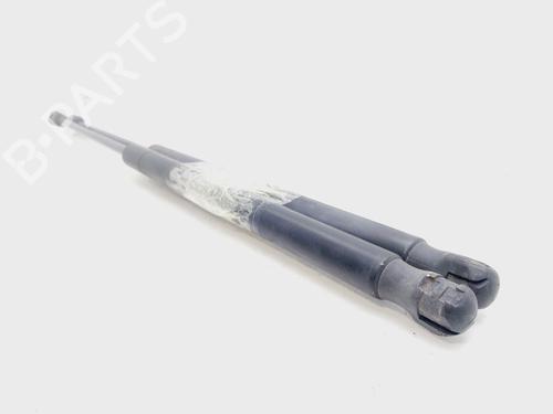 Tailgate lift support FORD FOCUS II (DA_, HCP, DP)  | BP21124981C138 