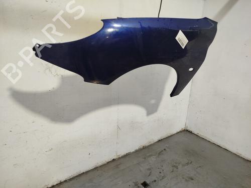 Left front fenders PEUGEOT 206 Hatchback (2A/C) | BP32297825C41