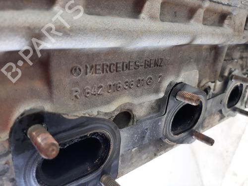 Cylinder head MERCEDES-BENZ M-CLASS (W164)  | BP13923397M5 