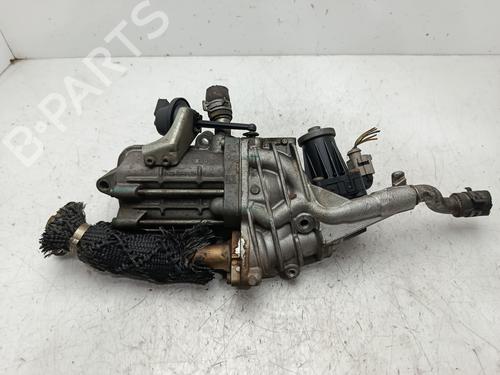 Egr LAND ROVER DISCOVERY IV (L319)  | BP30567733M69 