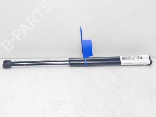Used Tailgate lift support LAND ROVER RANGE ROVER SPORT I (L320) 3.6 D 4x4 (272 hp) 14008738