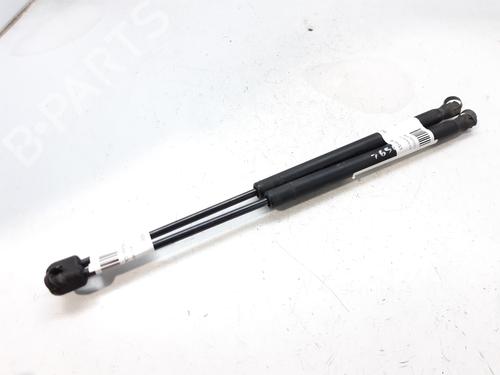 Used Tailgate lift support CITROËN C3 I (FC_, FN_) 1.4 HDi (68 hp) 14001983