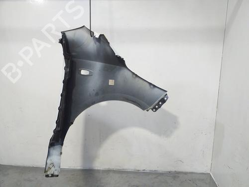 Left front fenders HYUNDAI i10 I (PA) 1.1 | BP16912344C41 