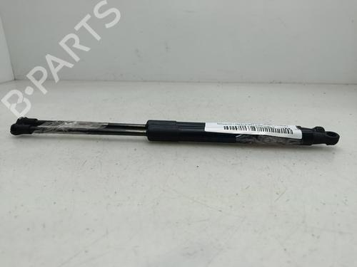 gasdmper-bagklap-renault-twingo-ii-cn0_-2007-34343789 main image