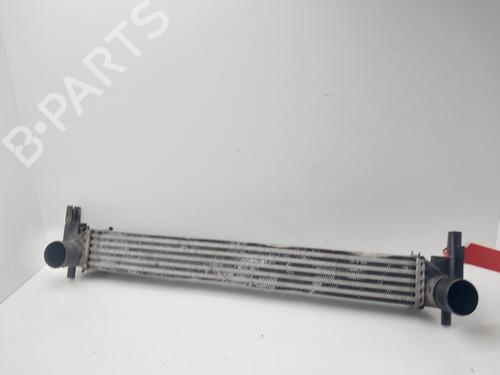 Used Intercooler VW POLO V (6R1, 6C1) [2009-2022]  31316385