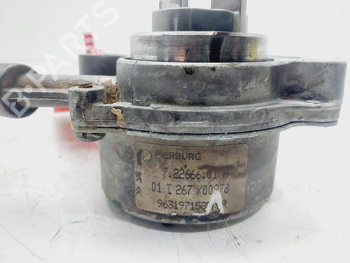 Vacuum pump PEUGEOT EXPERT Van (222) 2.0 HDI | BP29585792M80 