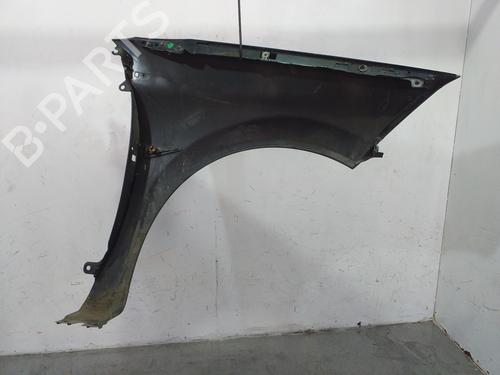 Left front fenders RENAULT MEGANE II (BM0/1_, CM0/1_) 1.9 dCi | BP18945482C41 