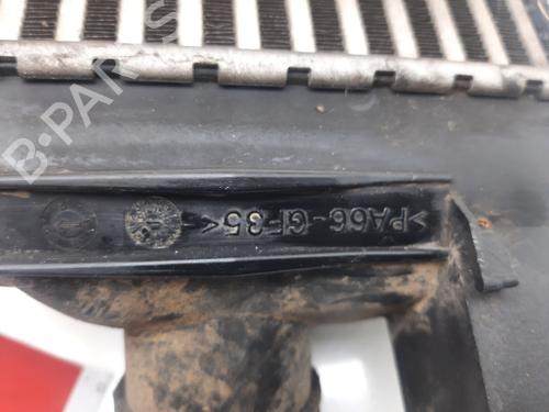 Intercooler DACIA DOKKER Express Box Body/MPV  | BP17046860M30 