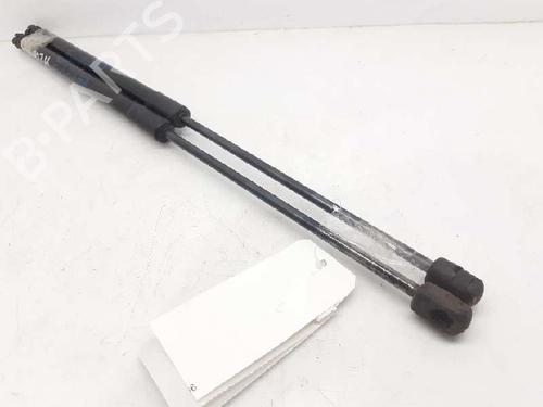 Tailgate lift support FORD FIESTA VII (HJ, HF) 1.0 EcoBoost H1BBA406A10AE |