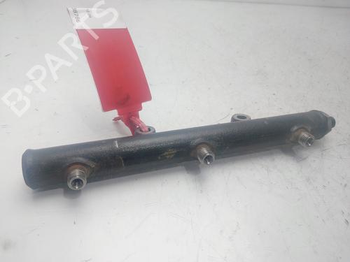 Injection rail LAND ROVER DISCOVERY III (L319) 2.7 TD 4x4 | BP29616779M98 
