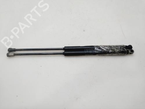 Used Tailgate lift support FIAT GRANDE PUNTO (199_) 1.3 D Multijet (75 hp) 33039407