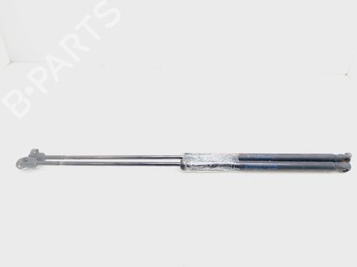 Tailgate lift support FORD FOCUS II Turnier (DA_, FFS, DS)  | BP26137868C138 
