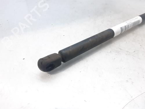Hood lift support CITROËN XSARA Coupe (N0) 1.9 D | BP14002476C139 