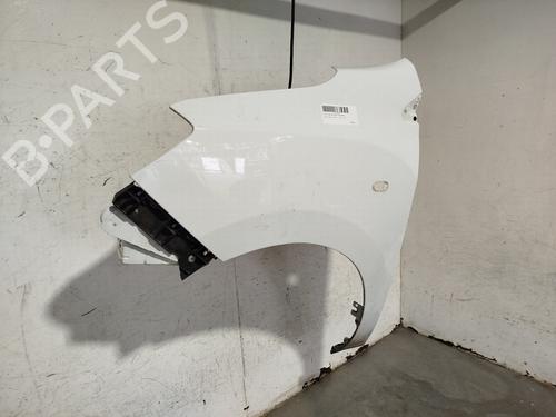 Left front fenders DACIA LODGY (JS_)  | BP29982168C41