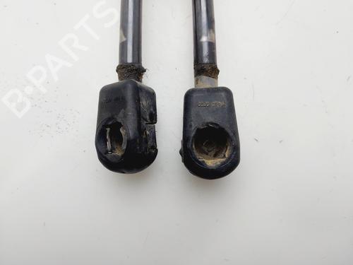 Tailgate lift support VW TIGUAN (5N_) | BP30121172C138