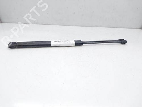 Used Hood lift support VW TOUAREG (7LA, 7L6, 7L7) 2.5 R5 TDI (174 hp) 14008711
