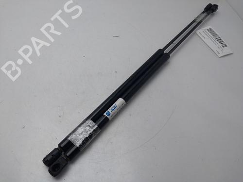 Used Tailgate lift support RENAULT GRAND SCÉNIC III (JZ0/1_) [2009-2016]  32502003
