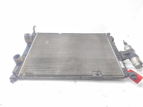 Used Water radiator NISSAN QASHQAI I (J10, NJ10) 1.6 (114 hp) 28335243