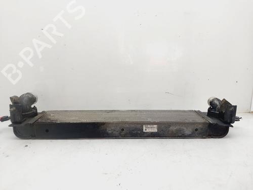 Intercooler RENAULT KOLEOS I (HY_) 2.0 dCi (HY0K) | BP20329817M30 