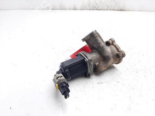 Egr FIAT PUNTO (188_) 1.3 JTD 16V | BP13876090M69 