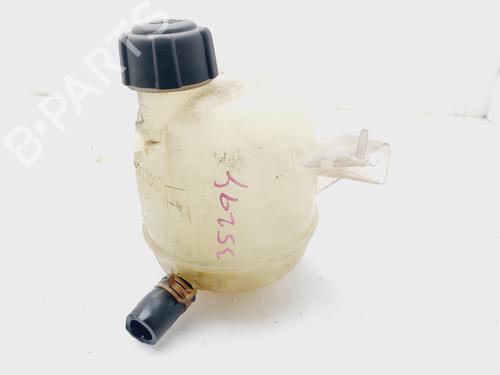 Used Expansion tank RENAULT KANGOO (KC0/1_) [1997-2025]  19518589