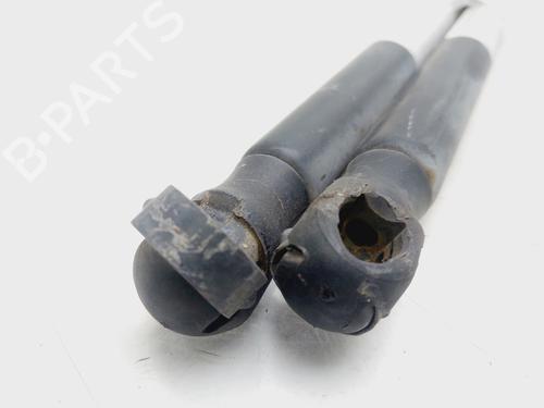 Tailgate lift support CITROËN C4 Coupe (LA_) 1.4 16V | BP27464514C138 