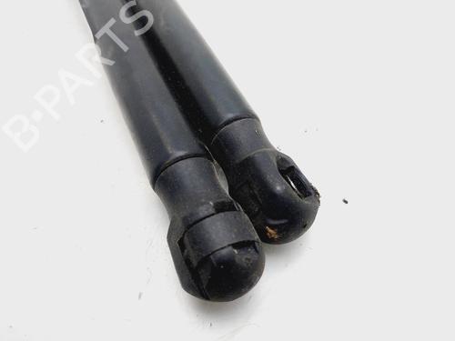 Hood lift support JAGUAR XF I (X250)  | BP25880331C139 