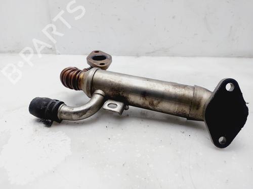 Egr SKODA FABIA I (6Y2)  | BP25798739M69 