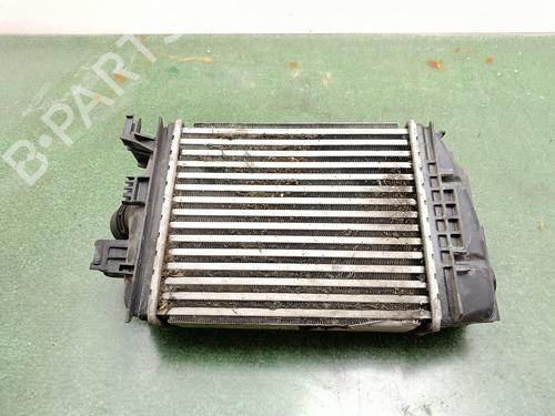 Intercooler NISSAN JUKE (F16_) | BP38462708M30 - Image 2