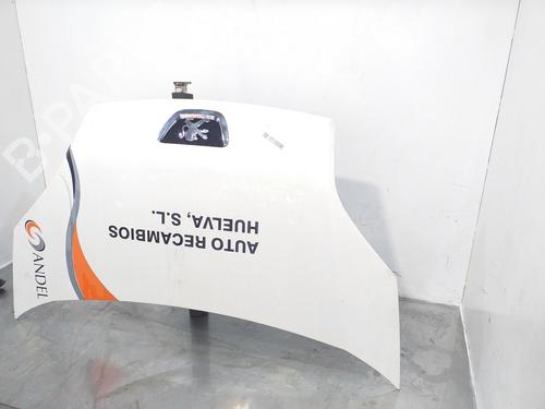 Hood PEUGEOT BIPPER (AA_) 1.3 HDi 75 | BP16871389C1 