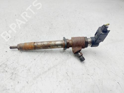 Used Injector JAGUAR XF I (X250) 2.7 D (207 hp) 29019272