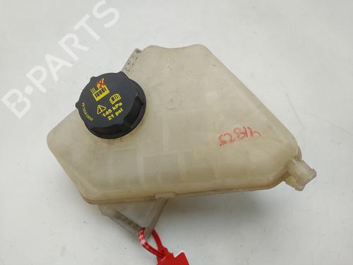 Ekspansjonstank Ekspansjonstank FORD FIESTA VI (CB1, CCN) 1.6 TDCi (95 hp) 36031601 36031601