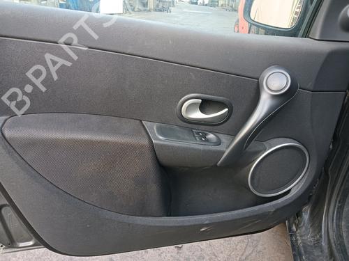 Rear left exterior door handle RENAULT CLIO III (BR0/1, CR0/1) | BP30719049C130