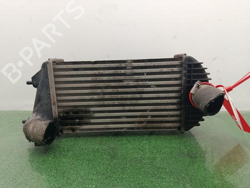Used Intercooler Intercooler SUZUKI SWIFT IV (FZ, NZ) 1.3 DDiS (AZG413D, ZC02S, ZC92S) (75 hp) 36258335 36258335