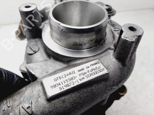 Turbocharger/Supercharger DS DS 4 / DS 4 CROSSBACK (NX_) 1.6 BlueHDi 120 | BP29750606M71