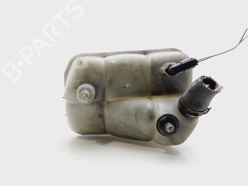 Expansion tank MERCEDES-BENZ E-CLASS (W211) E 320 CDI (211.026) | BP25713319C120 