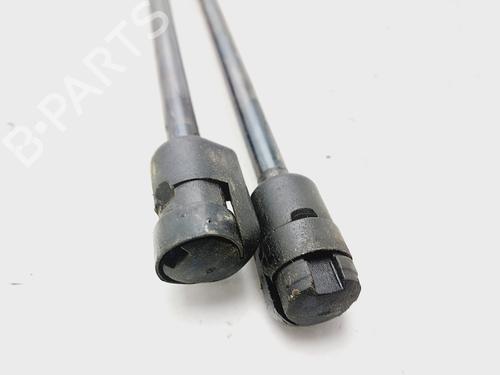 Tailgate lift support LAND ROVER FREELANDER 2 (L359) 2.2 TD4 4x4 | BP20238324C138 