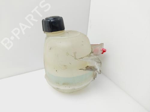 Ekspansjonstank RENAULT SCÉNIC I MPV (JA0/1_, FA0_) 1.9 dTi (JA0N) (98 hp) 30853174