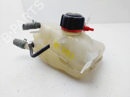 Expansion tank RENAULT SCÉNIC III (JZ0/1_) 1.2 TCe (JZ16) | BP29596839C120 