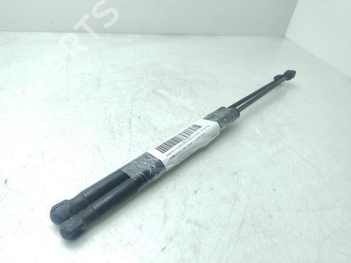 Tailgate lift support FORD KUGA I  | BP29054687C138 
