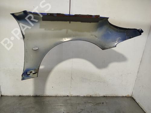 Left front fenders PEUGEOT 206 Hatchback (2A/C) | BP32297825C41
