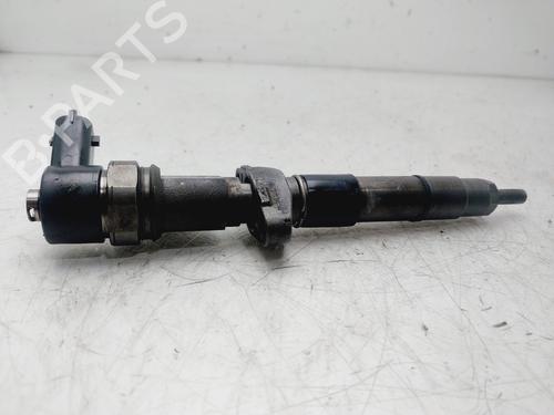 Injector RENAULT ESPACE IV (JK0/1_) 2.2 dCi (JK0H) | BP29298256M100