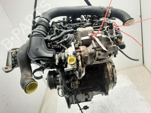 Used Engine Engine FORD FOCUS III [2010-2020] 32686055 32686055