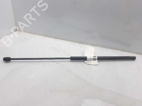 Used Hood lift support CITROËN XSARA Coupe (N0) 2.0 HDI 90 (90 hp) 13996402