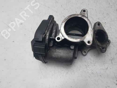Egr AUDI A4 B7 (8EC) 2.0 TDI 16V | BP30581374M69
