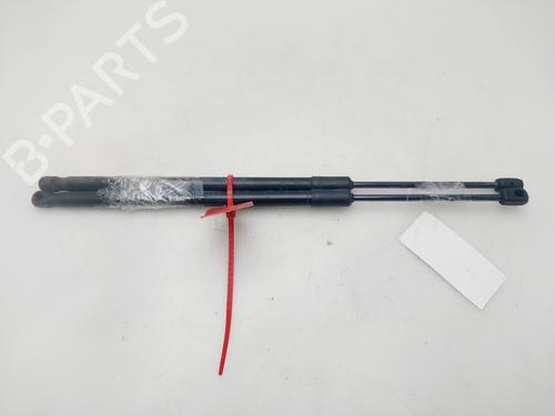 Used Tailgate lift support RENAULT AUSTRAL [2022-2026]  31316371