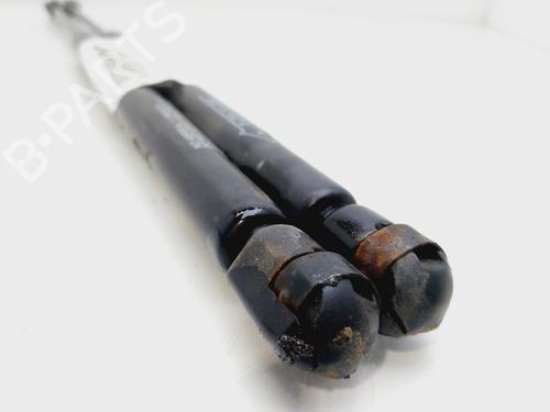 Tailgate lift support SEAT LEON (1M1)  | BP25735057C138 