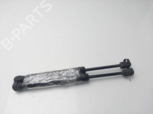 Tailgate lift support SKODA SUPERB I (3U4) 1.9 TDI | BP31156474C138