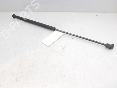 Used Hood lift support SEAT LEON (1M1) 1.9 TDI (90 hp) 14004812