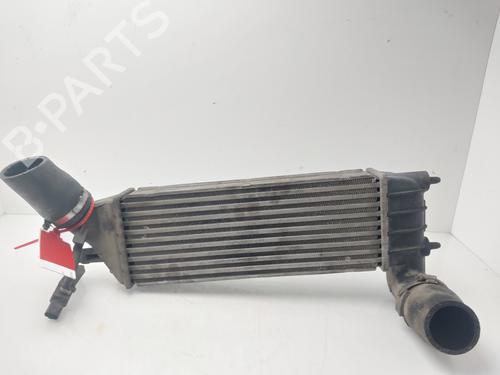 Used Intercooler FIAT ULYSSE (179_) 2.0 JTD (109 hp) 32256238